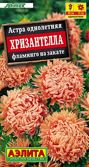 ����� ����������� �������� �� ������