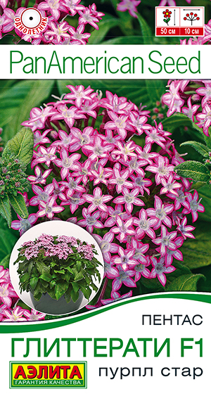 Пентас Глиттерати F1 пурпл стар Пентас Глиттерати F1 пурпл стар