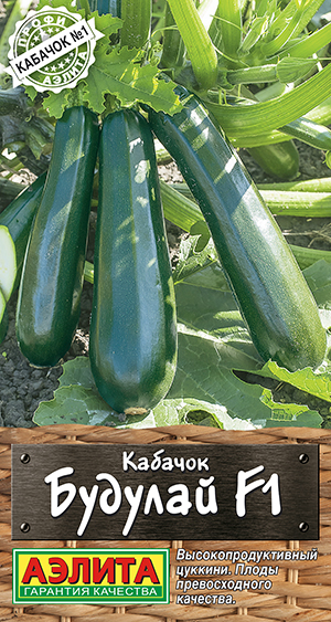 Кабачок цуккини Будулай F1 Кабачок цуккини Будулай F1