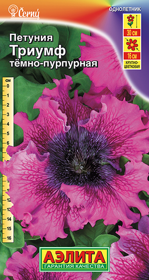 Петуния Триумф темно-пурпурная крупноцветковая Петуния Триумф темно-пурпурная крупноцветковая