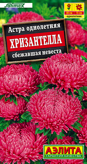 ����� ����������� ��������� �������