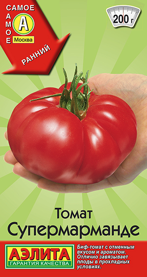 ����� �������������