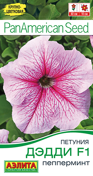 Петуния Дэдди F1 пепперминт Петуния Дэдди F1 пепперминт