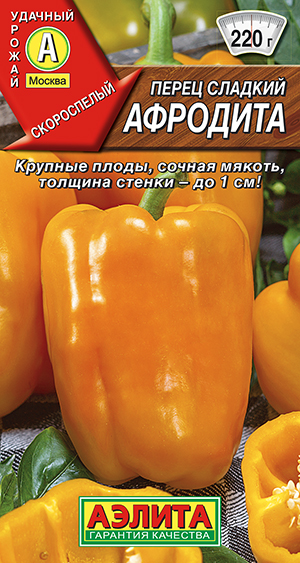 ����� ������� ��������