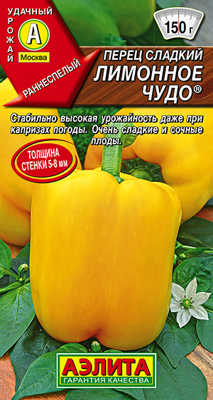 ����� ������� �������� ����