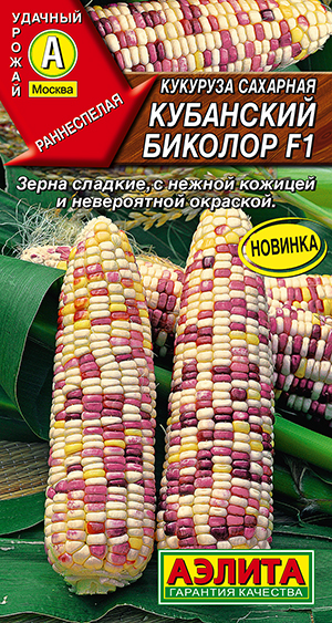 Кукуруза сахарная Кубанский биколор F1 Кукуруза сахарная Кубанский биколор F1