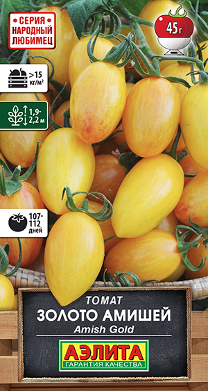 ����� ������ ������ (Amish Gold)