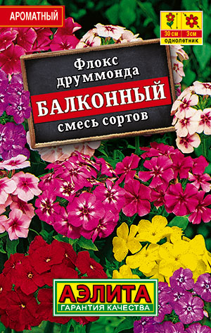 Флокс друммонда Балконный, смесь сортов Флокс друммонда Балконный, смесь сортов