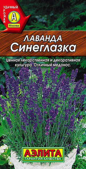 Лаванда Синеглазка Лаванда Синеглазка