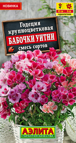 Годеция крупноцветковая Бабочки Уитни, смесь сортов Годеция крупноцветковая Бабочки Уитни, смесь сортов