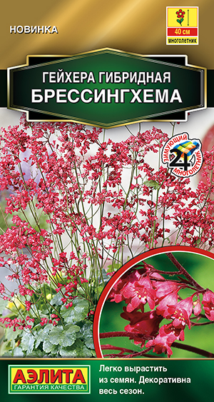 Гейхера гибридная Брессингхема Гейхера гибридная Брессингхема