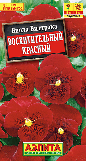 Виола Восхитительный красный Виола Восхитительный красный