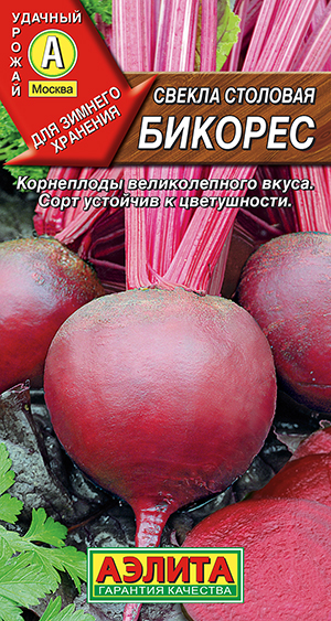 Свекла столовая Бикорес Свекла столовая Бикорес