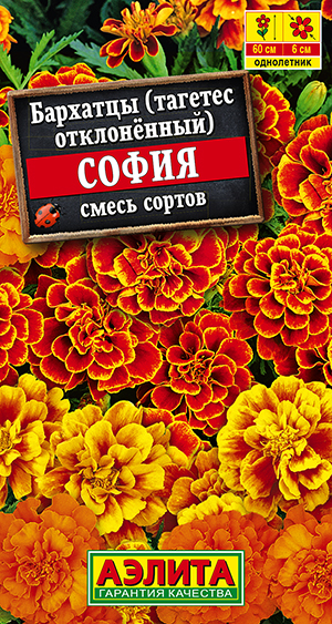 �������� ����� �����������, ����� ������