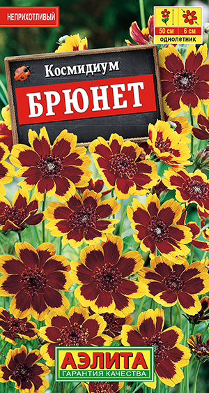 ��������� ������