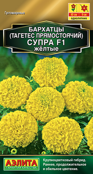 �������� ����� ������ F1 ������������