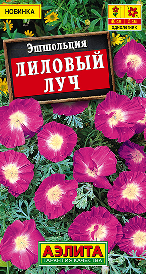 Эшшольция Лиловый луч