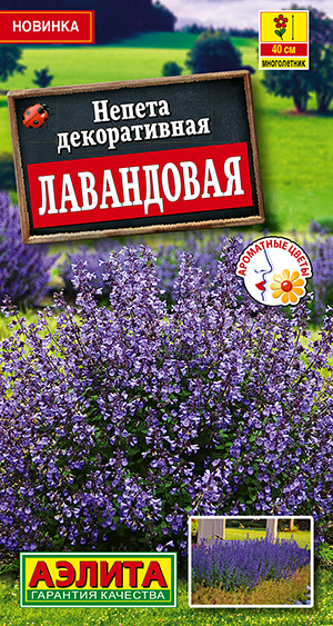 Непета декоративная Лавандовая Непета декоративная Лавандовая