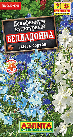 Дельфиниум Белладонна, смесь сортов Дельфиниум Белладонна, смесь сортов