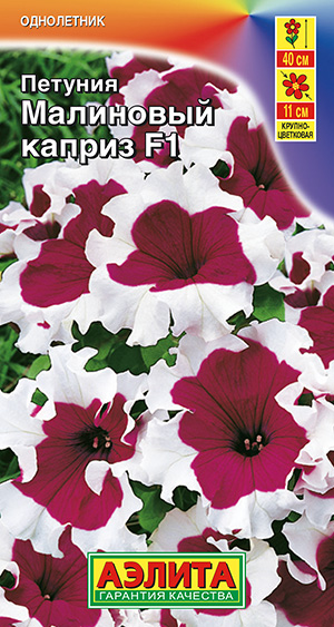 ������� ��������� ������ F1 ���������������