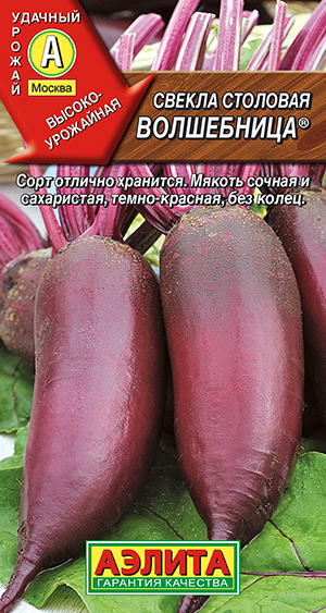 Свекла столовая Волшебница Свекла столовая Волшебница