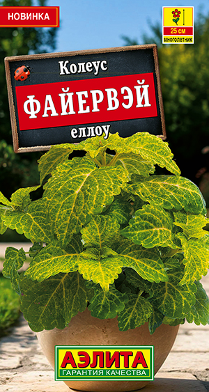 Колеус Файервэй еллоу Колеус Файервэй еллоу
