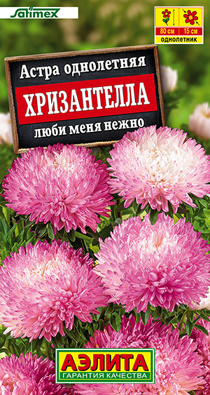 ����� ����������� ���� ���� �����