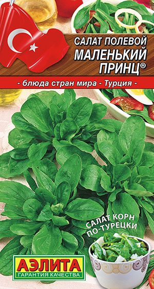 ����� ������� ��������� �����