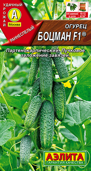 Огурец Боцман F1 ® Огурец Боцман F1 ®