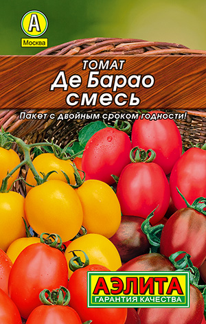 ����� �� �����, �����