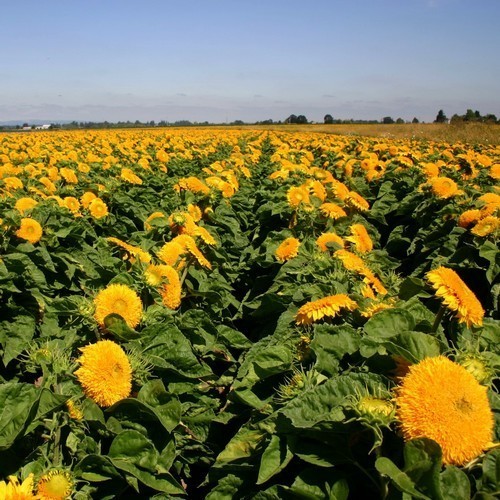 ������������ ������������ ������������ �������� ����� ���