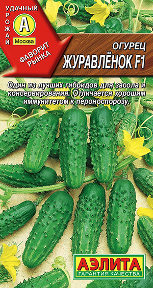 ������ ���������� F1