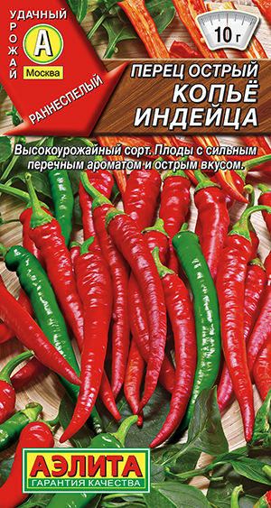 ����� ������ ����� �������