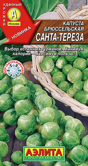 ������� ������������ �����-������