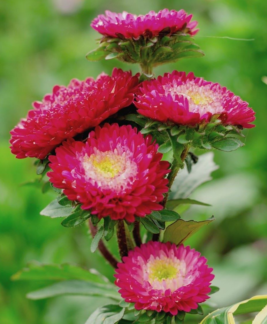 ����� ��������� ��������� ������� � ����� �������