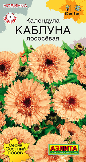 Календула Каблуна лососевая махровая