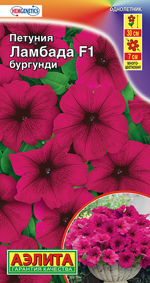 ������� ������� F1 �������� ��������������