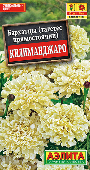 �������� ������������ ������������