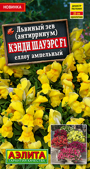 Львиный зев Кэнди Шауэрс F1 еллоу ампельный Львиный зев Кэнди Шауэрс F1 еллоу ампельный