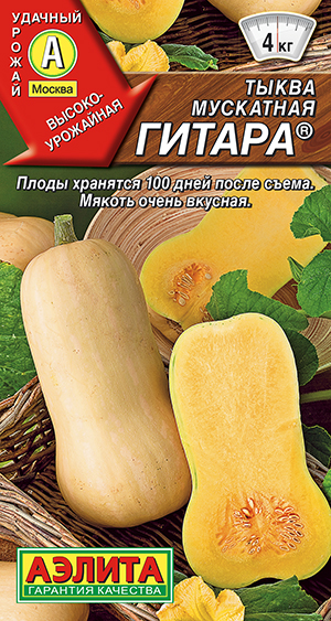 ����� ��������� ������