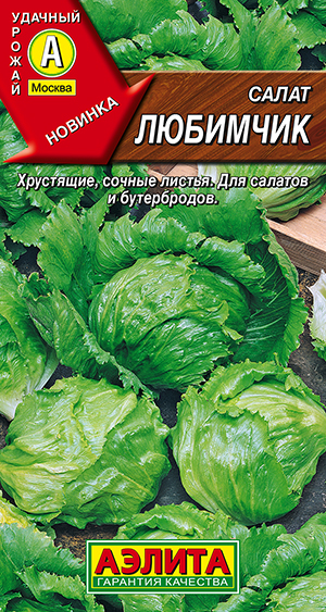 ����� ��������