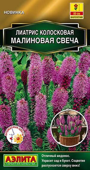 Лиатрис Малиновая свеча Лиатрис Малиновая свеча
