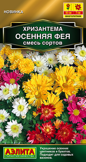 Хризантема Осенняя фея, смесь сортов Хризантема Осенняя фея, смесь сортов