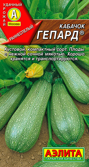 Кабачок цуккини Гепард ® Кабачок цуккини Гепард ®