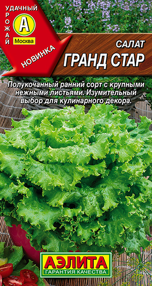 ����� ����� ����