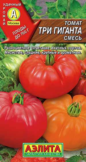 ����� ��� �������, �����