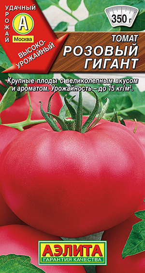 ����� ������� ������