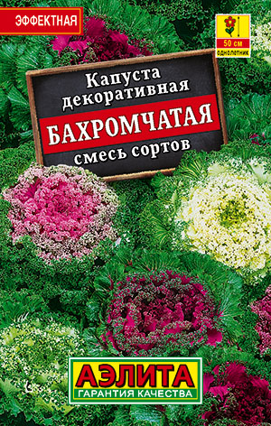 Капуста декоративная Бахромчатая, смесь сортов