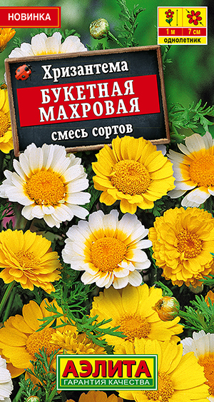 Хризантема Букетная махровая, смесь сортов Хризантема Букетная махровая, смесь сортов
