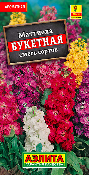 Маттиола Букетная, смесь сортов Маттиола Букетная, смесь сортов